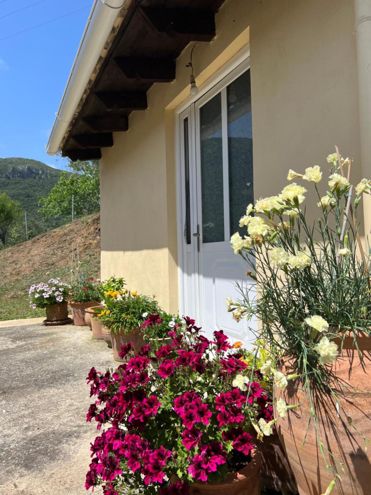 Villa Alexakis Doukádes Kültér fotó